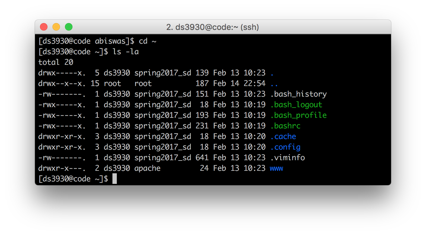 Bash list directory command